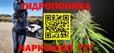 СК Обнинск