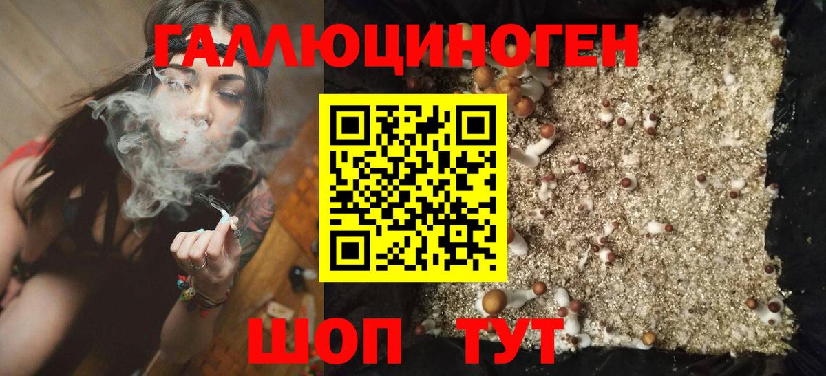 Псилоцибиновые грибы Psilocybine cubensis  Псилоцибиновые грибы Psilocybine cubensis  Вход с VPN  Пенза 
